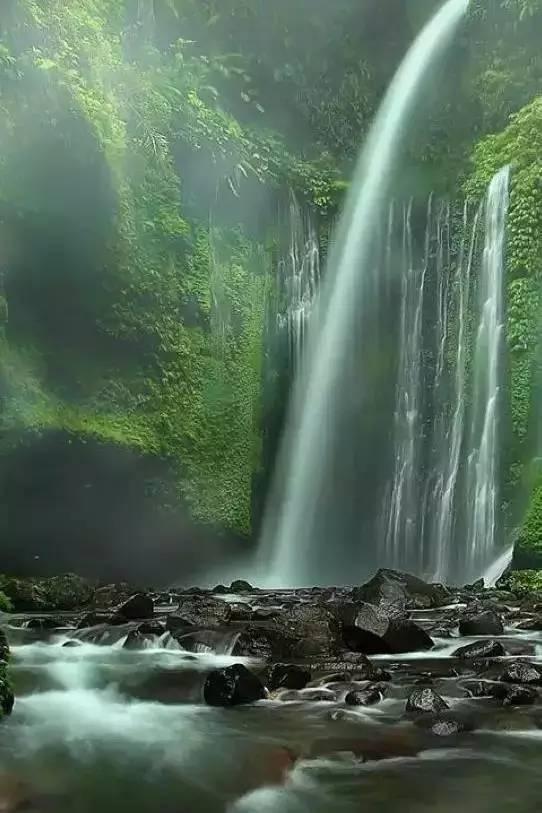 动物帮帮忙保卫家园