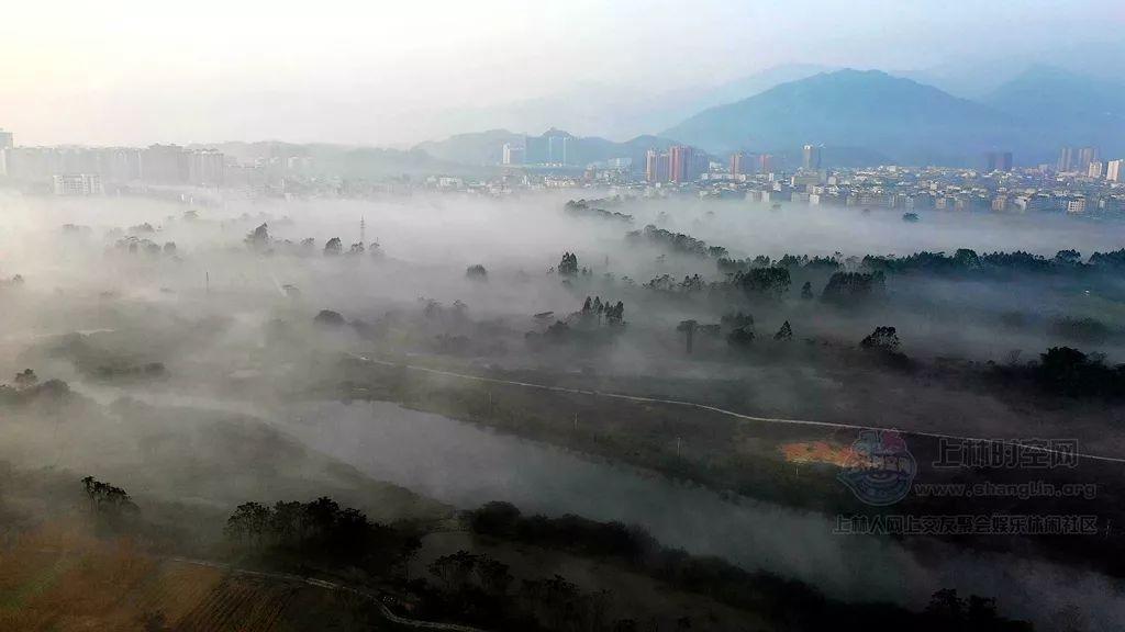 沪江开心词场