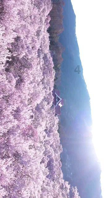 4399警戒风暴