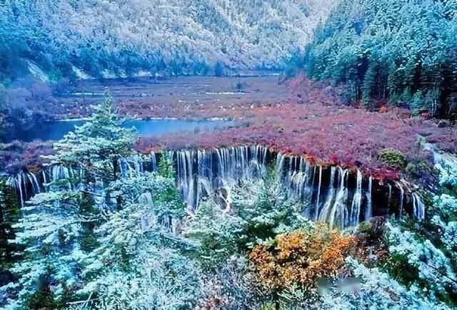 虫虫助手下载