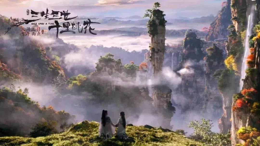 营救小乌龟