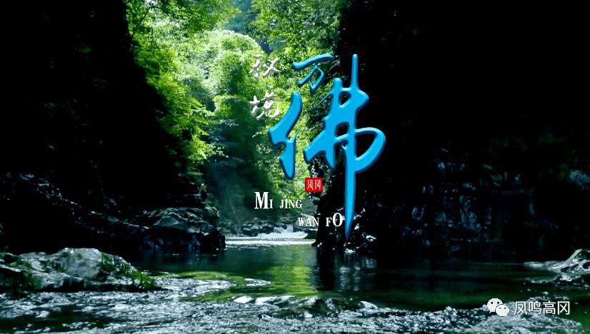 收集星星的高吉