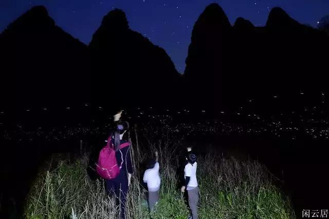 动物帮帮忙保卫家园