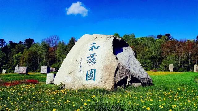 射击红色鸟