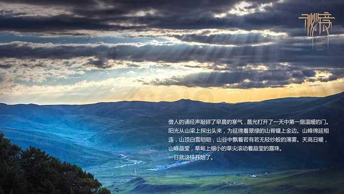 35岁女子连生12个娃引争议！人生98个月都在怀孕，网友：不负责任太恶心！