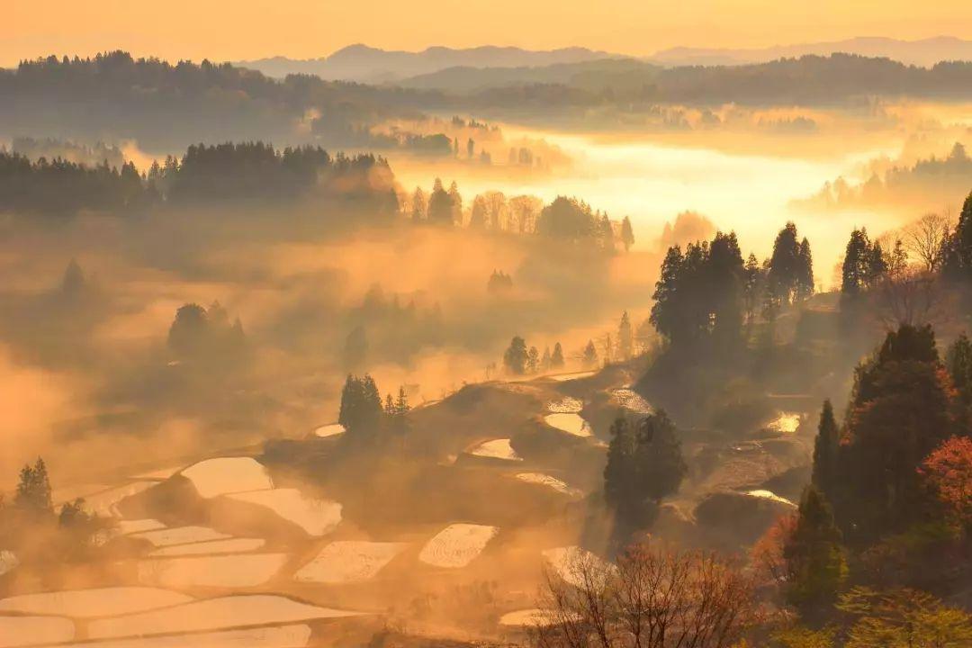 虫虫助手下载