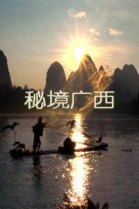 虫虫助手下载