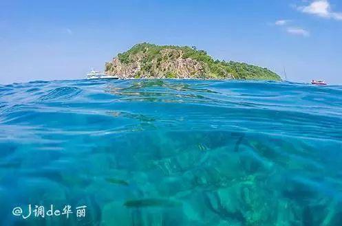 万词王
