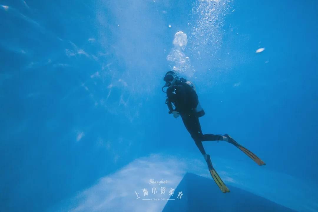 燃烧吧大脑免广告最新版