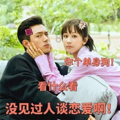 春雨直播app