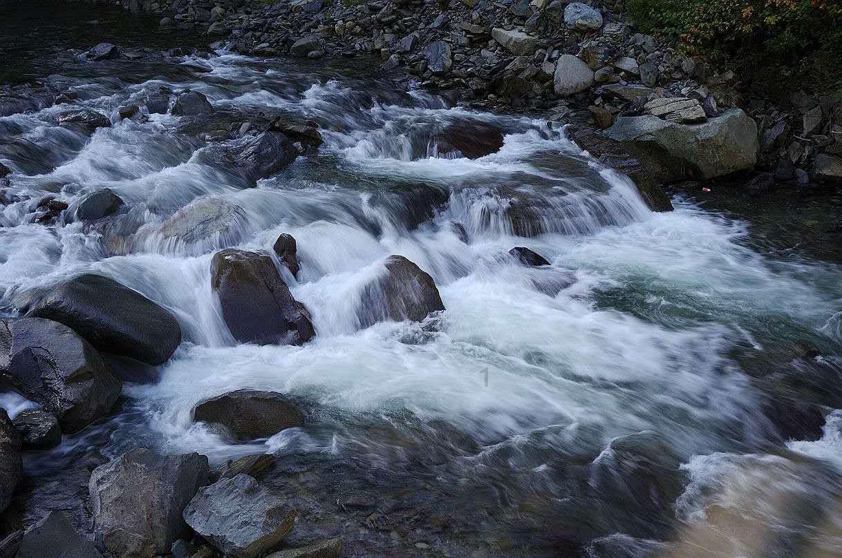 沪江开心词场