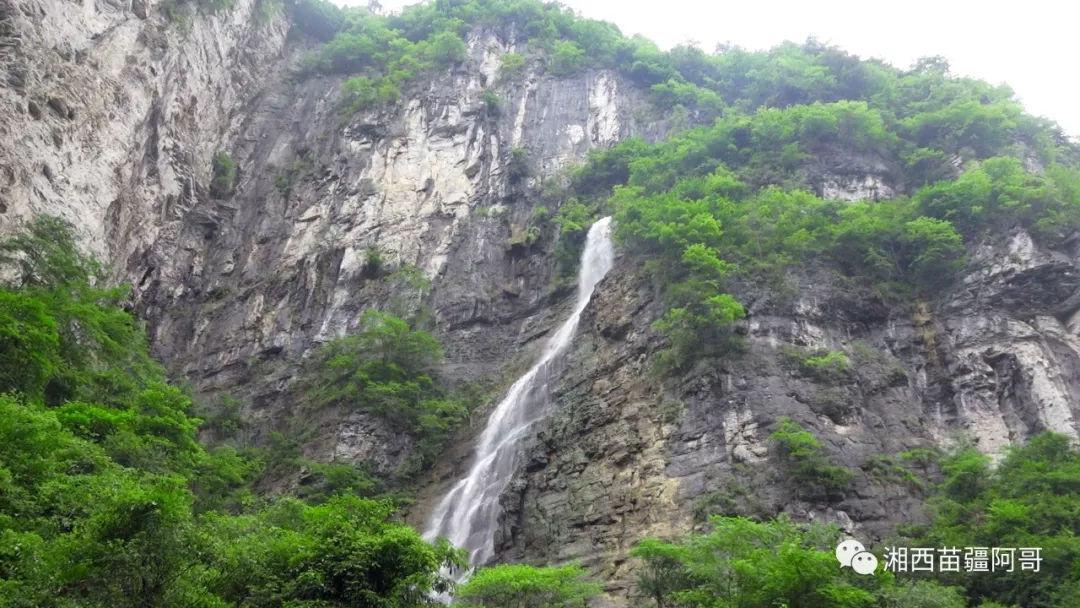 胜利街道丽景社区：温暖商居情，腊八味更浓