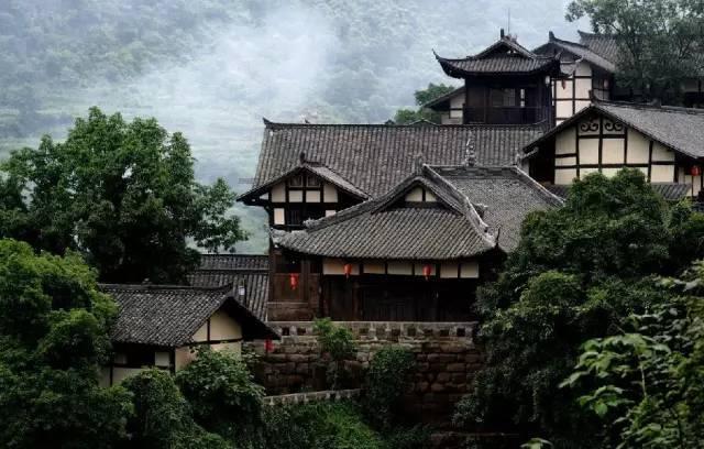 呆萌动物园