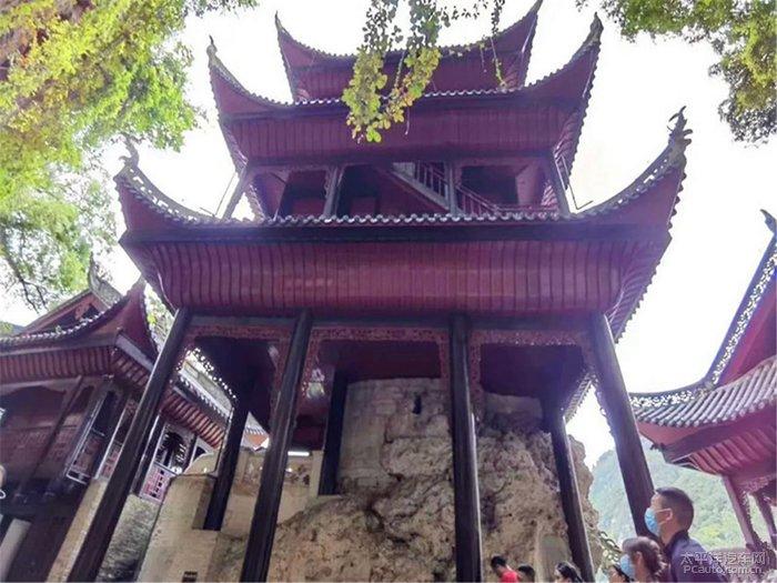 高考填志愿的时候该听谁的？游戏画面