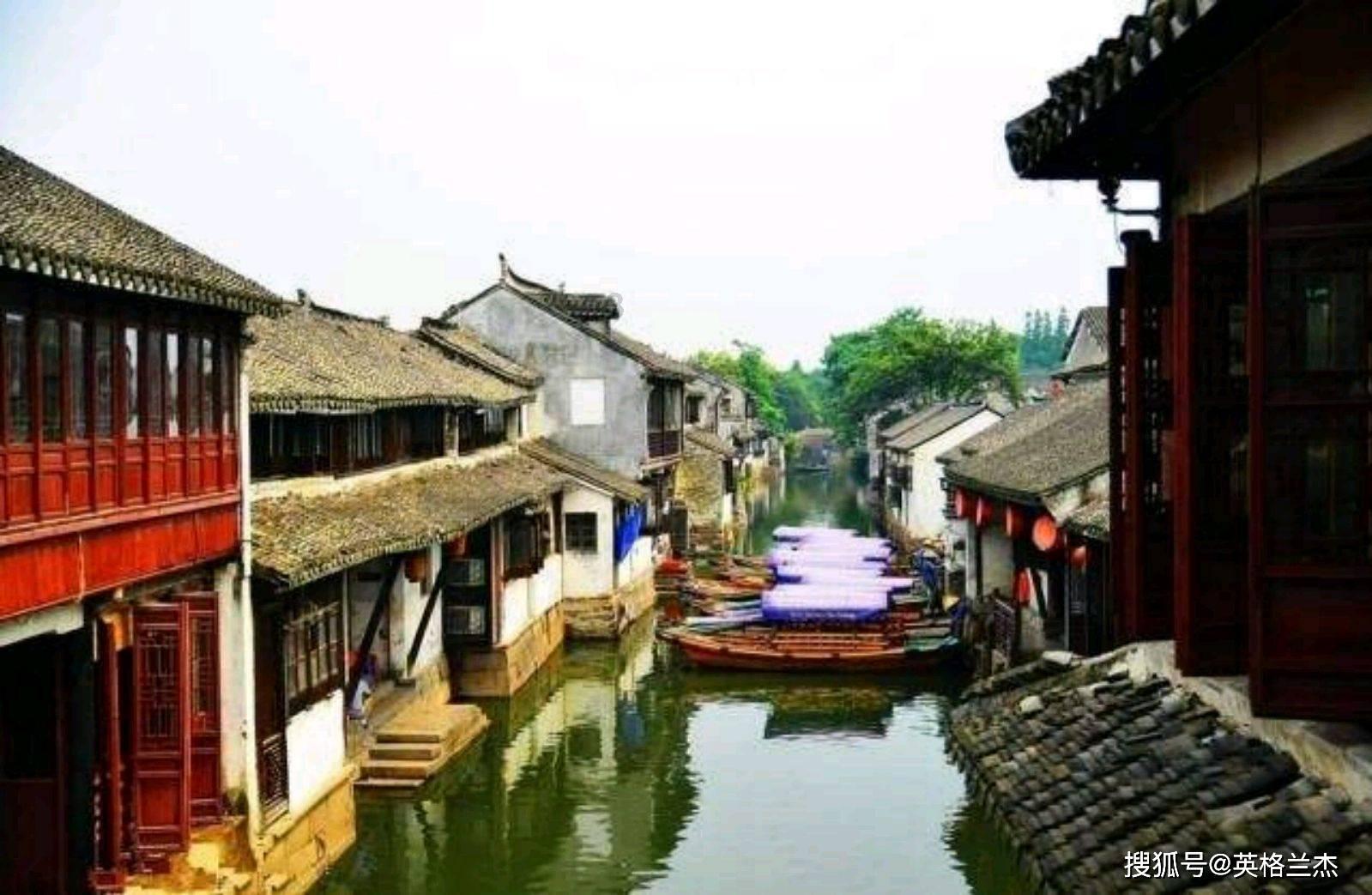 救援贪玩的大象