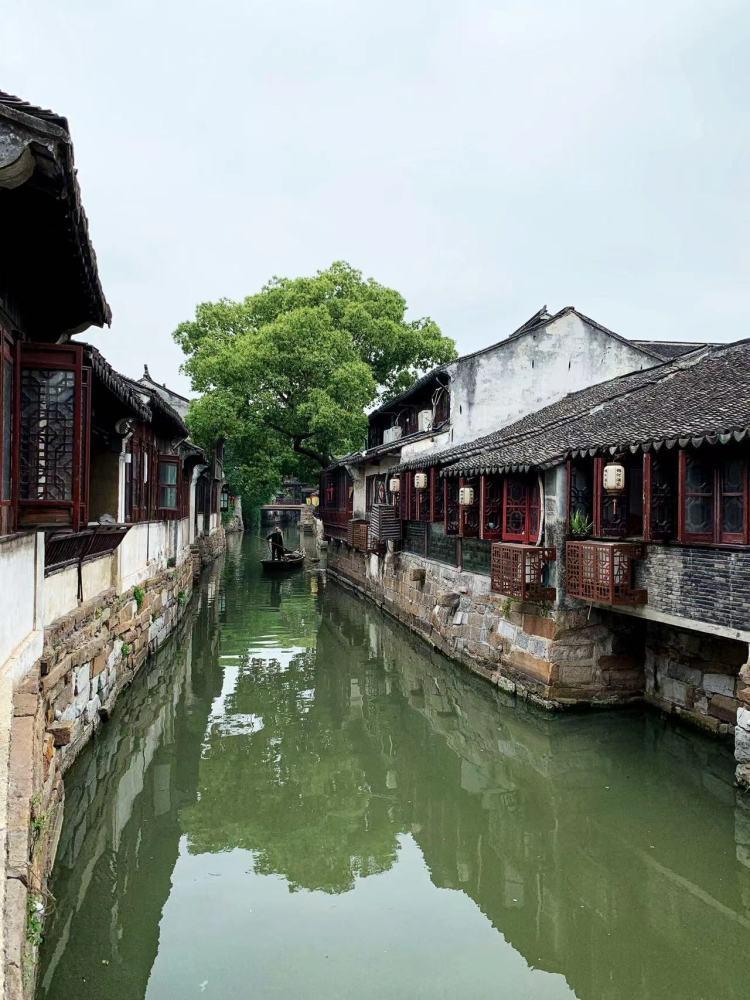 琴覆天下