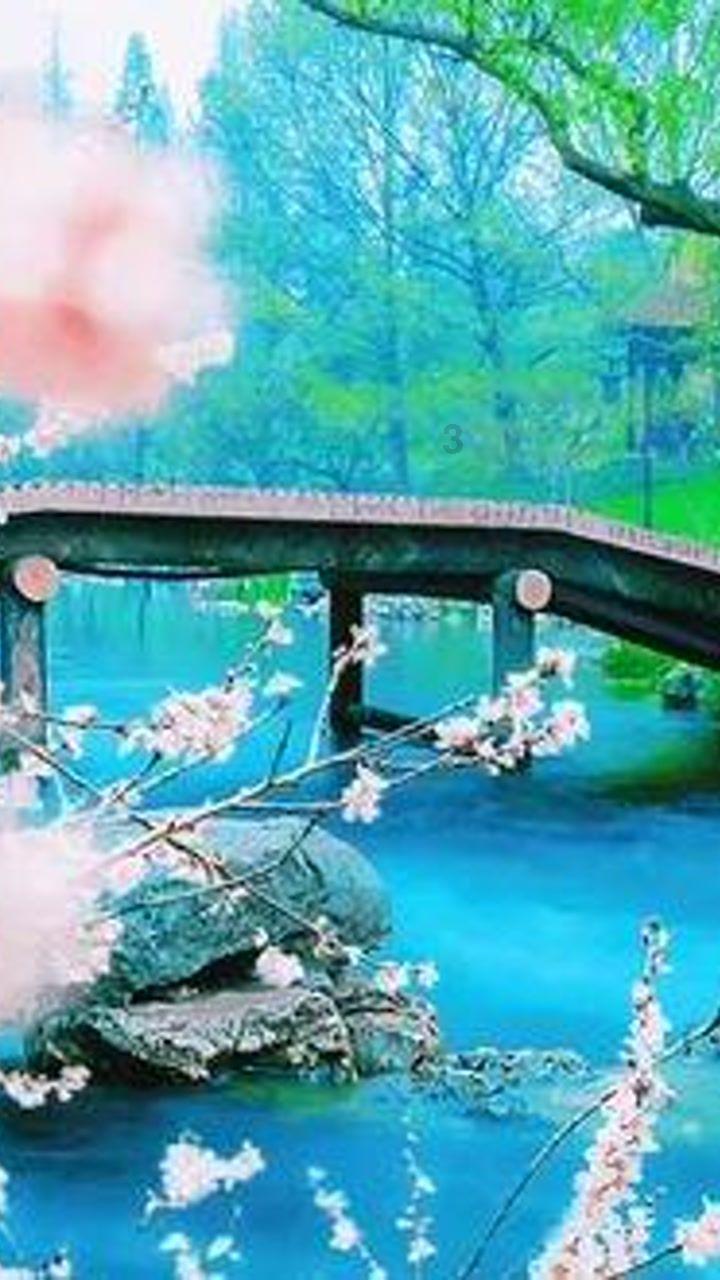 深海鱼救援